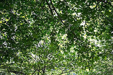 《克瑞因的纷争》安卓iOS今日上线，免费下载即开即玩