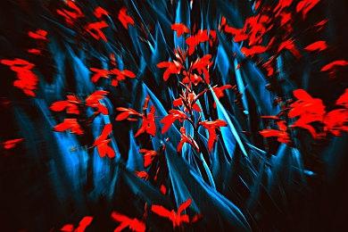 《刺客信条：影》IGN日本8分 技术革新开辟的新时代开放世界